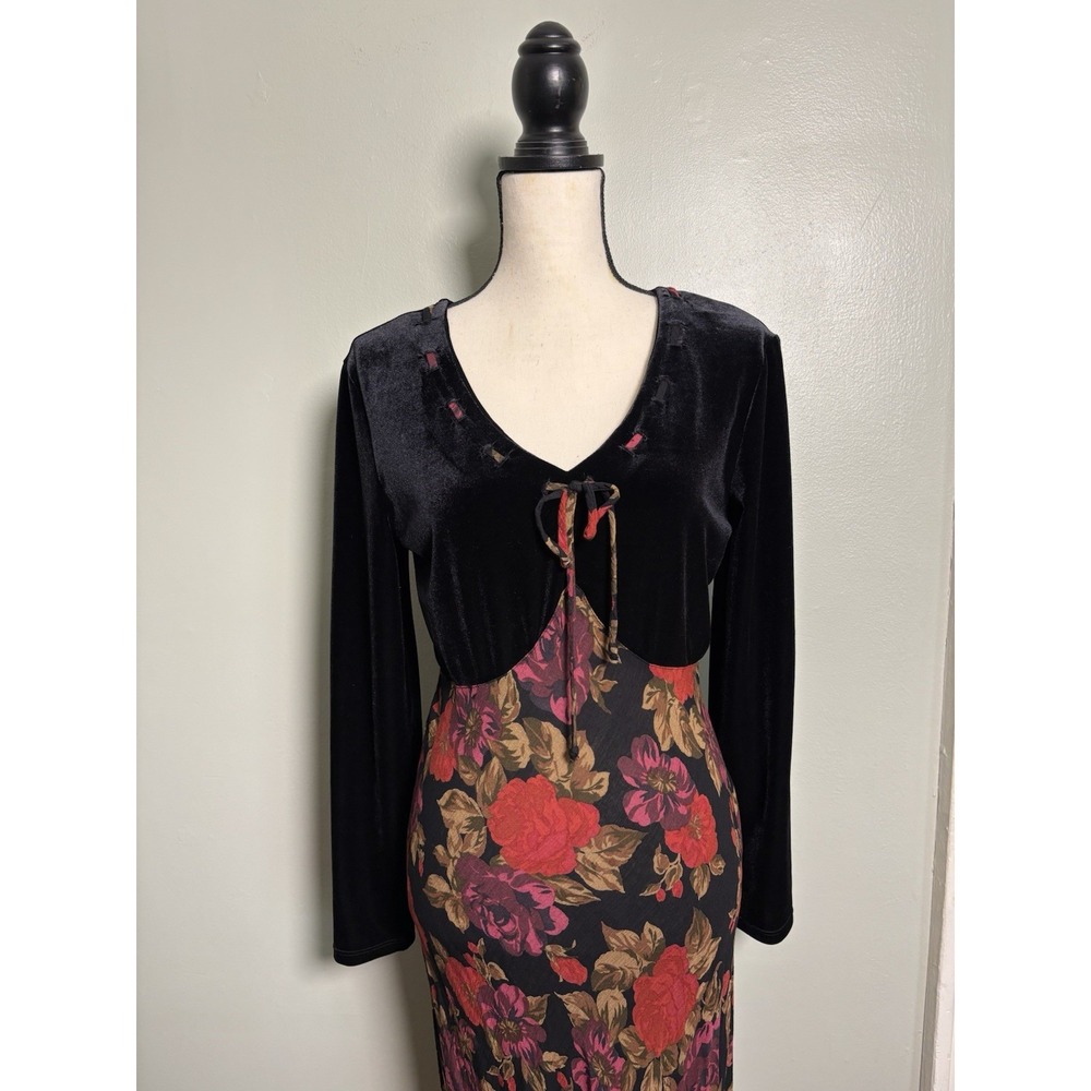 Carole Little Black Velvet Floral Maxi Dress Size 8 Whimsigoth Romantic Boho
